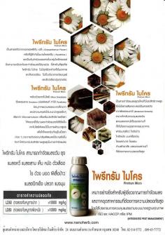 การให้บริการกำจัดปลวก